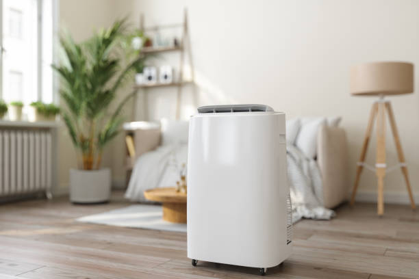 Best Air Conditioning Cleaning in Pendleton, SC
